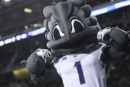 The Horned Frog